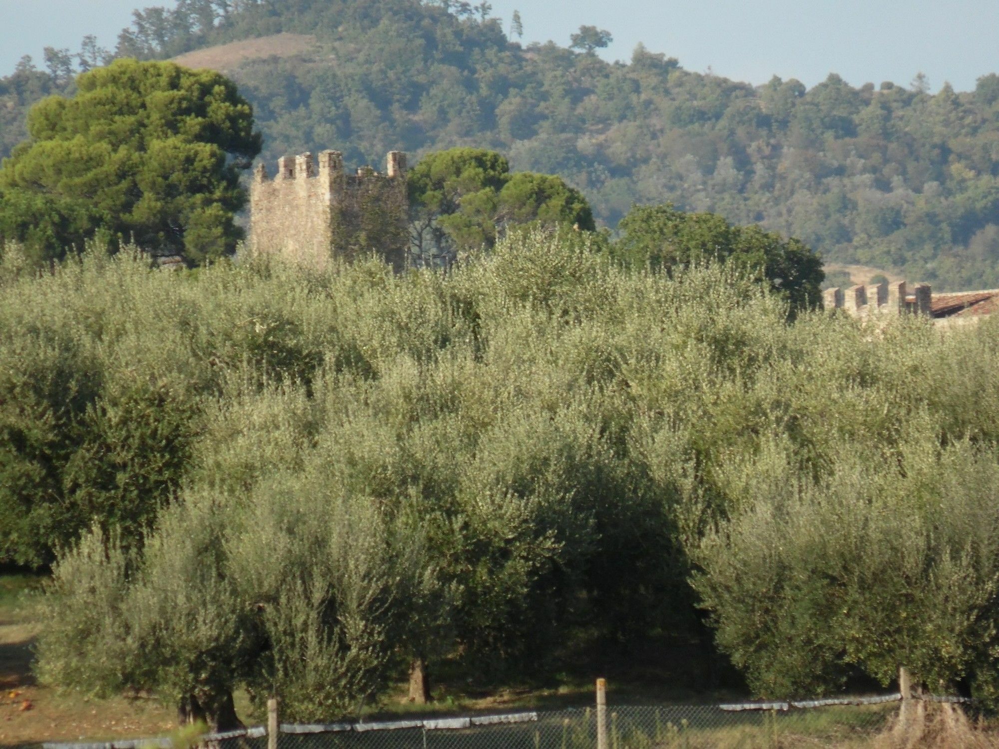 Podere Caldaruccio La Pineta เปรูจา ภายนอก รูปภาพ